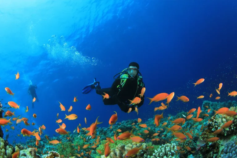 Diving Suits