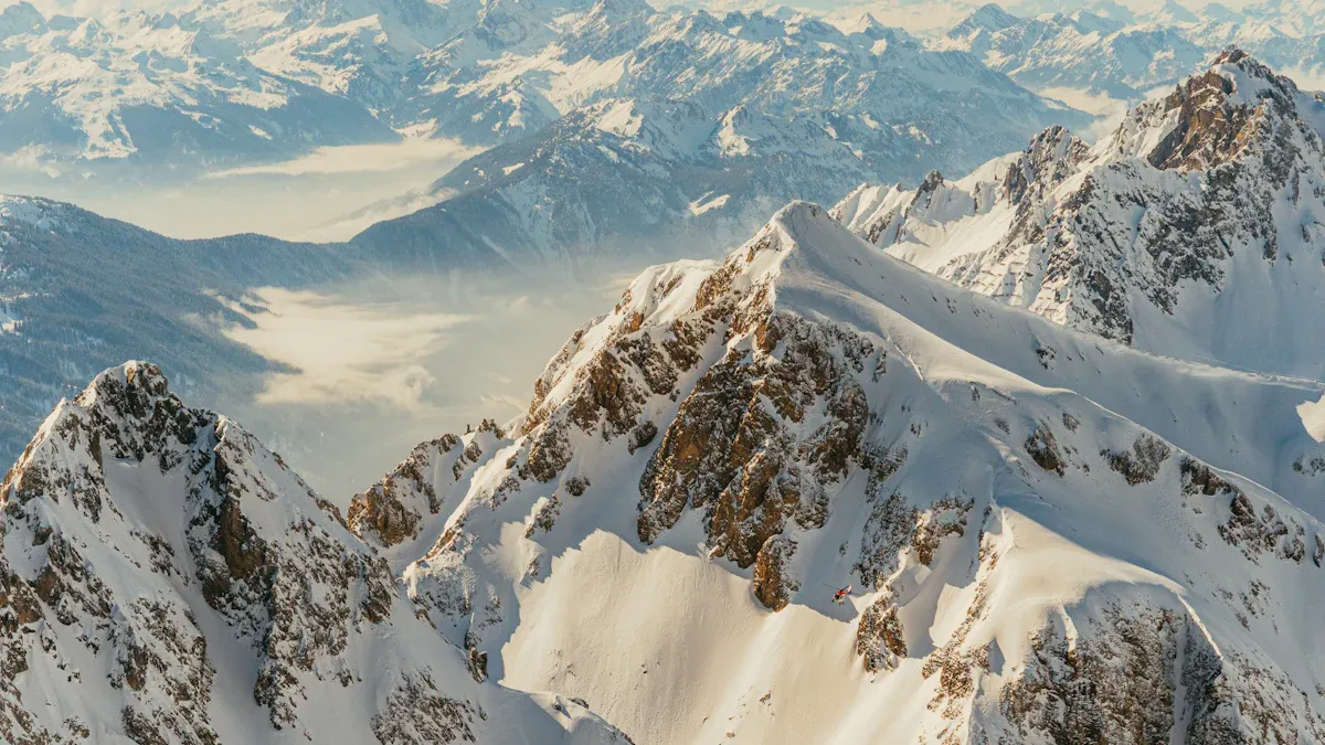 ZIZIP'
                style=