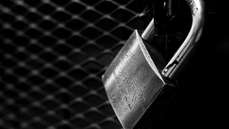 ZIZIP'
                style=